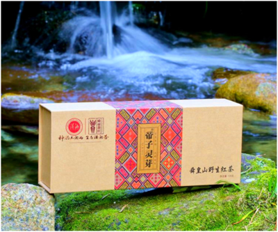 神奇舜皇山 茶香老山界 --写在2022年湖南省生态旅游节暨第三届舜皇山野茶节举办之际