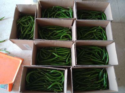 邵阳县石虎村绿色农特产品直播网红豪哥