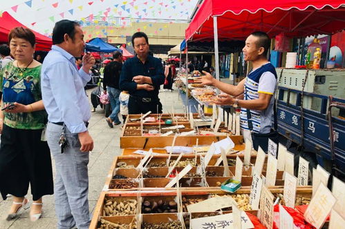 最会生活的湘潭人,都来这里赶最过瘾的集 岳塘国际商贸城赶集汇第二期,明日见