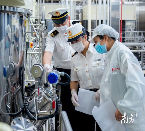 连续12个月正增长 惠州外贸上半年比增33.7