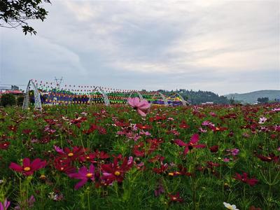 新塘村_湖南省邵阳市大祥区檀江乡新塘村