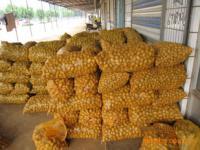 肥城润通进出口贸易 日用品贸易的稳健发展之路