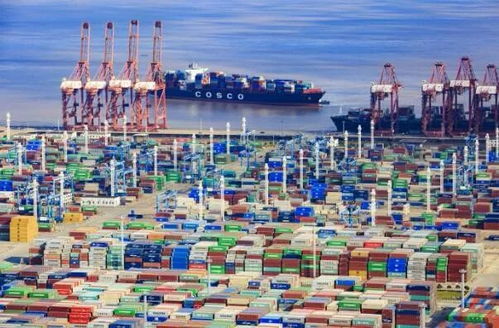 2023年前5月宁波外贸进出口数据公布 日用品贸易稳中向好